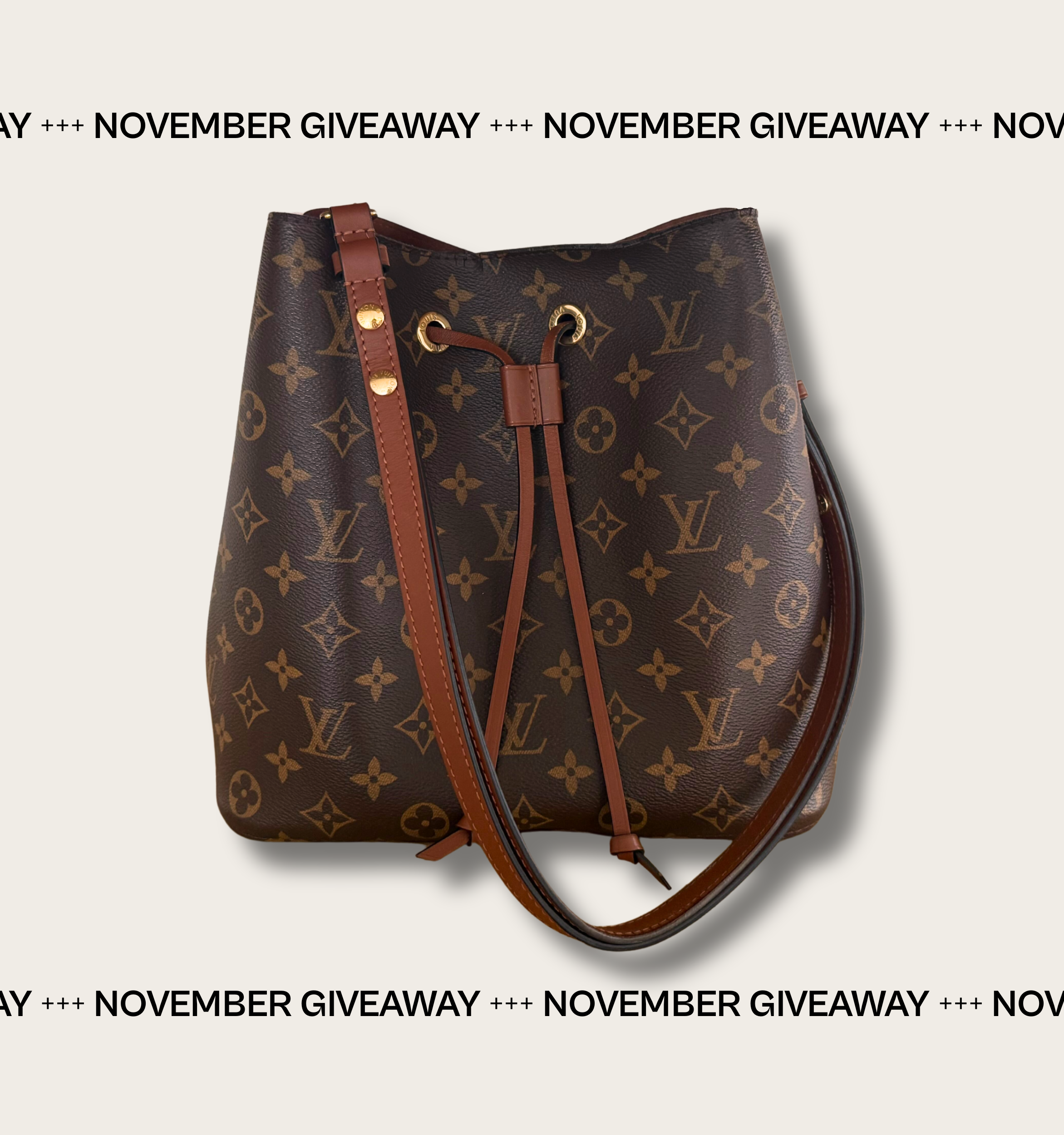 Louis Vuitton NéoNoé Bag